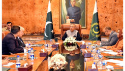 Pakistan needs preventive healthcare system for healthy society: President