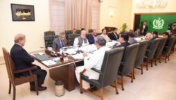 PM Shehbaz orders cutting reliance on imported fuel for cheap power generation