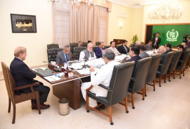 PM Shehbaz orders cutting reliance on imported fuel for cheap power generation