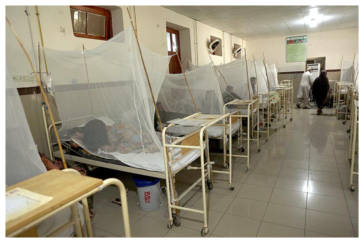 dengue balochistan