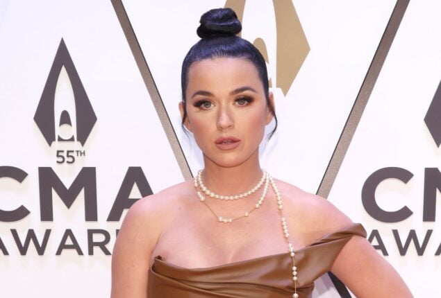 Katy Perry reacts on her viral twitching moment on Vegas stage