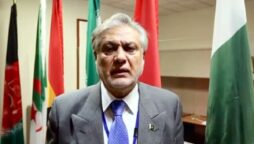 Ishaq Dar discusses proposals to reform energy sector