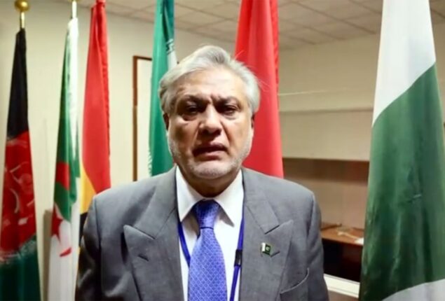 Ishaq Dar discusses proposals to reform energy sector