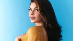 Enforcement Directorate claims Jacqueline Fernandez fled India and destroyed evidence