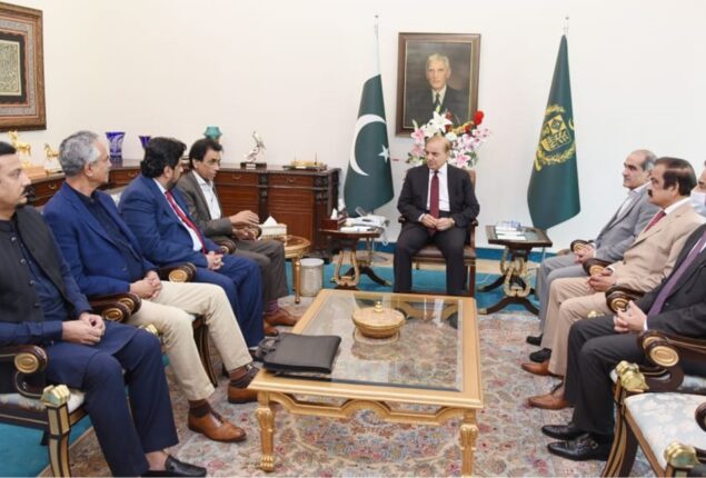 MQM-P leaders meet PM, hint at quitting coalition govt