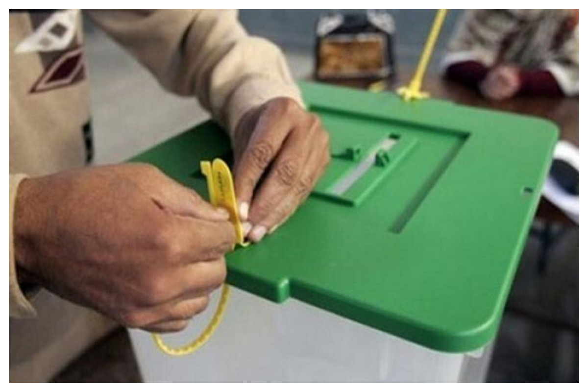 FAFEN by-elections