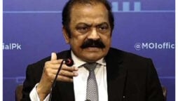 rana sanaullah