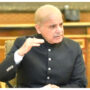 Shehbaz Sharif decries IK’s diatribe against parliamentary democracy