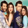 Farhan Saeed reveals why Feroze Khan and Sonya Hussyn absent from Tich Button premiere