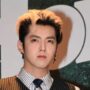 Chinese-Canadian singer Kris Wu received a 13-year sentence for sex offences