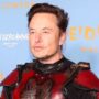 Elon Musk claims that Twitter will grant suspended accounts “amnesty”