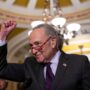 Senate passes bipartisan same-gender marriage bill
