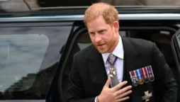 Fans won't "warmly embrace" Prince Harry's book "Spare"