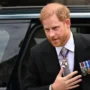 Fans won’t “warmly embrace” Prince Harry’s book “Spare”