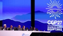 COP27