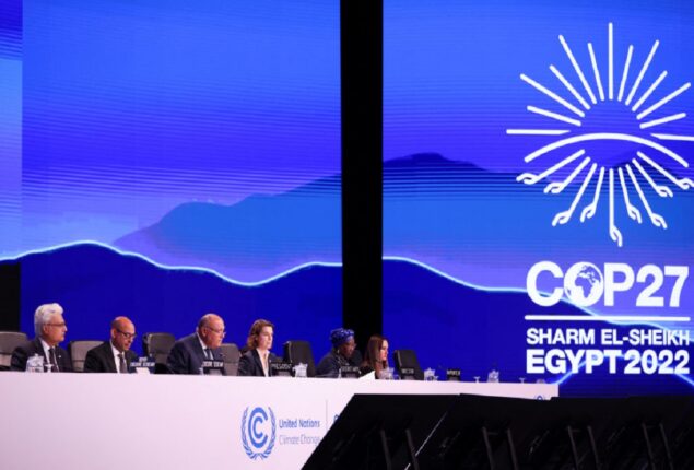 COP27 accord criticized as insufficient for people and planet