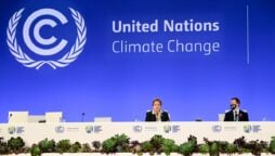 COP27: Fossil fuel industry delegates surge