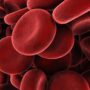 First clinical trial using lab-grown blood