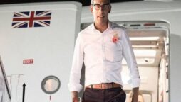 Rishi Sunak promotes worldwide clean growth