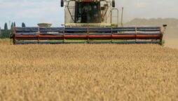 Putin halts Black Sea grain exports