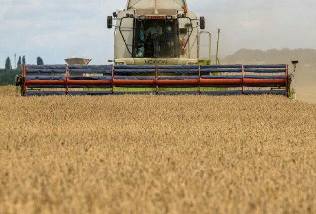 Putin halts Black Sea grain exports