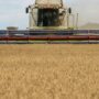 Putin halts Black Sea grain exports