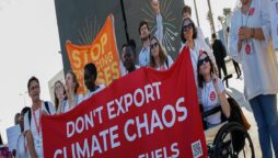 Energy security and decarbonization at COP27