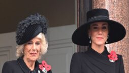 Royals tease Meghan Markle, Prince Harry with new pictures