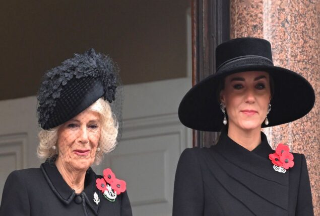 Royals tease Meghan Markle, Prince Harry with new pictures