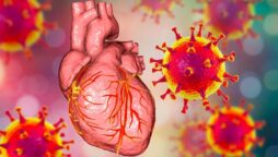 Cardiovascular diseases