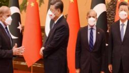 China, Pakistan agreed to promote multilateral cooperation