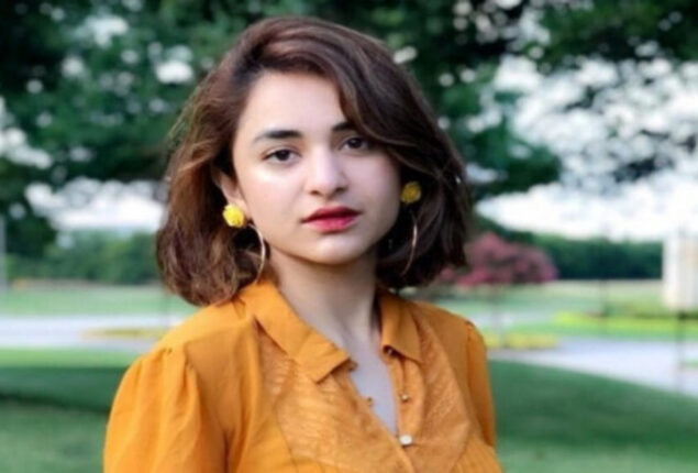 Yumna Zaidi give savage reply to a user on her recent picture