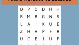 Word Search Puzzle: Find 6 words in 49 seconds