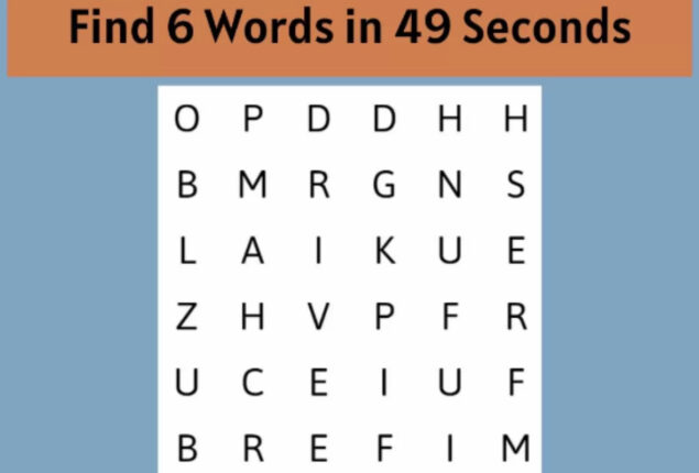 Word Search Puzzle: Find 6 words in 49 seconds