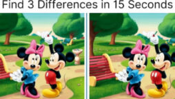 Spot the Difference: In 15 seconds, can you find three differences?