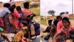 Man rides bike with 7 people, 2 dogs, 2 chicks: Netizens Wonders