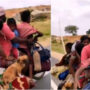 Man rides bike with 7 people, 2 dogs, 2 chicks: Netizens Wonders