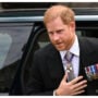 Prince Harry’s book’s author opens out about its changes since the Queen’s death
