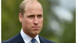 Gorillas are something Prince William says he’d “want to see” someday