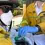 Firefighters Save David Hasselfluff the Cat from Blaze