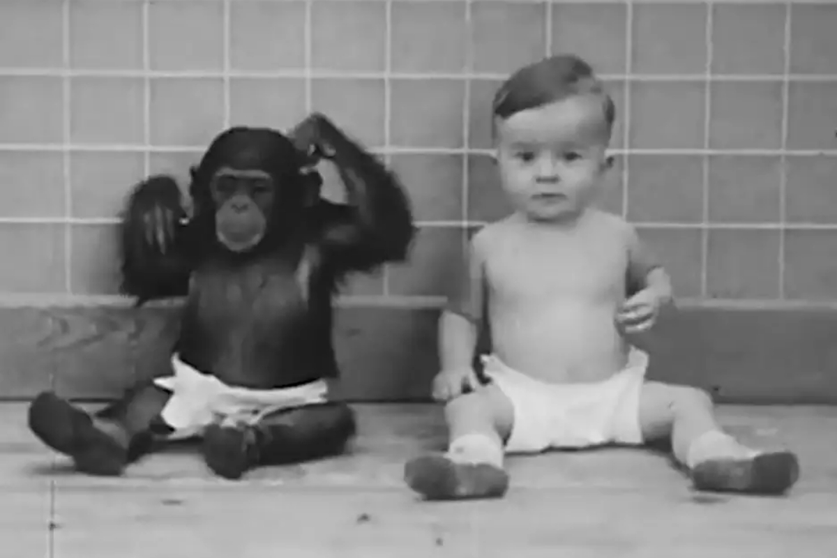 baby and chimp
