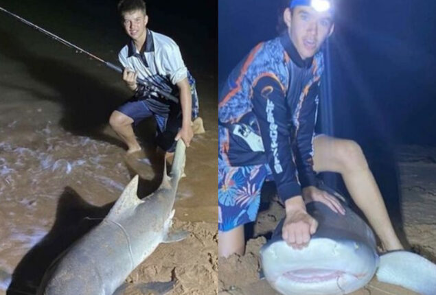 16-year-old shark hunter likes water adventures over video games