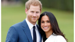 Meghan Markle reaction of Harry “hitting up” his ex-girlfriend for “Spare” is no secret
