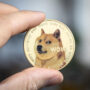Doge Price Prediction: Today’s Dogecoin Price, 19th Nov 2022