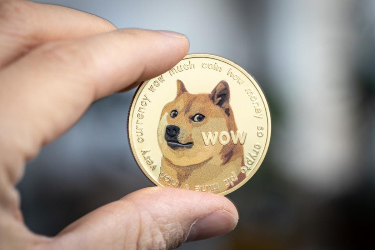 Doge Price