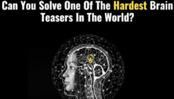 This brain teaser puzzled 98% of Harvard students