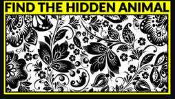 This brain teaser requires hawk-like eyes to spot the hidden animal