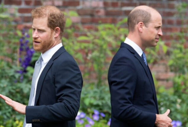 Prince William still heartbroken over ‘Megxit’