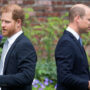 Prince William still heartbroken over ‘Megxit’