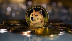 Doge Price